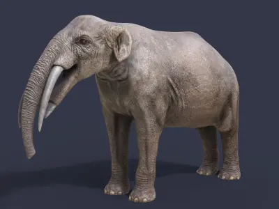 Gomphotherium steinheimense 3D model