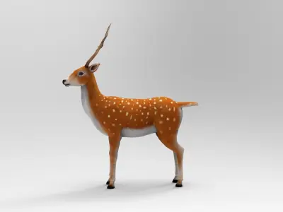 Deer 3d modeling and  Deer 3d model with texture Low-poly 3D model