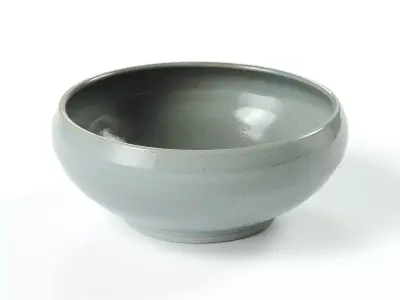 polypasta - pottery west - ramen bowl - powder 3D model