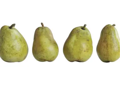 Kieffer pears in ceramic bowl 3D model