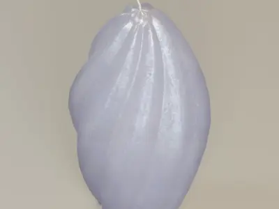  Twisted prolate shape candle  3D model