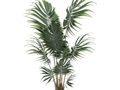Decorative palm in a white flowerpot 519 3D model