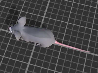 Cartoon Mouse Low-poly 3D model get