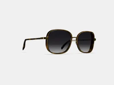 Fernanda Sunglasses in Cognac Tortoise with Polished Gold 3D model
