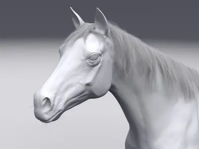 Horse - 3D model