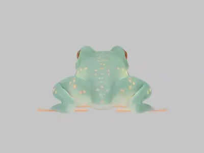 Magical Fantasy Frog Low-poly 3D model