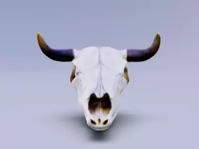 Cowboy cow skull with horns 3D model