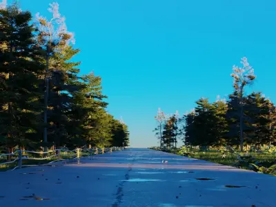 Road in the forest 3D model