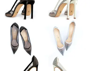 Dior D-Moi Tulle 105mm Pumps 3D model