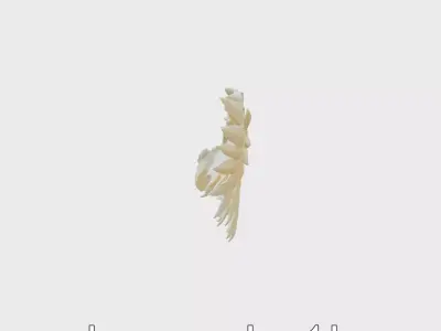 Shimmering Angelic Wings with Golden Highlights Low-poly 3D model