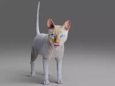 Cat White Rigged and Animated  Low-poly 3D model