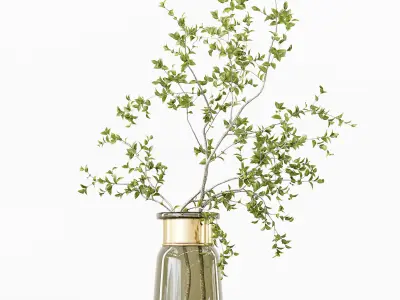 Collection Indoor Plants 016 3D model