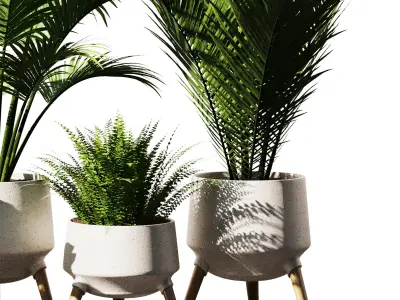 Indoor Plant Set V37 3D model