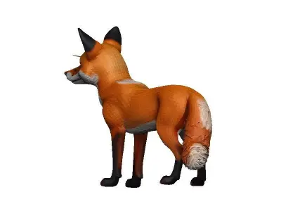 Fox-Fox Low-poly 3D model