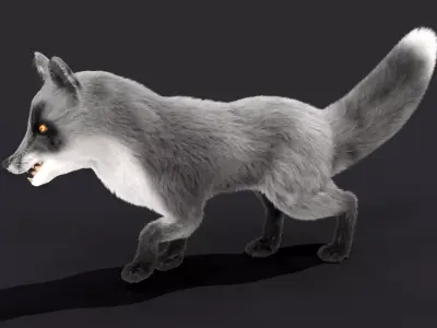 Fur Gray Fox Rigged Model Low-poly 3D model
