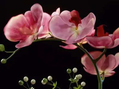 Orchid Flower Decorative Set 3D model