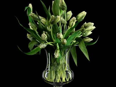 Green Parrot Tulips 3D model