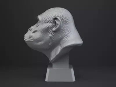 Ape Bust - Animal Figurine 3D print model purchase
