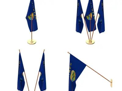 Montana Flag Pack 3D model