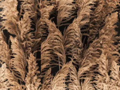 Decorating A Wall Of Dry Reeds For The Interior 258 3D model