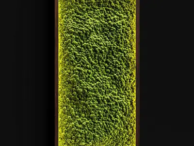 Mosswalls 2 3D model