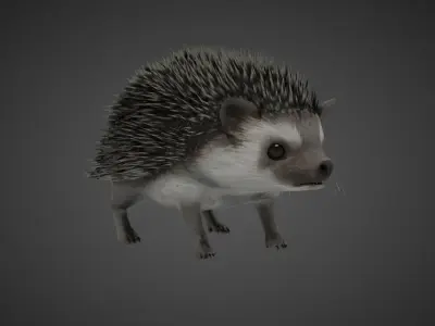 Hedgehog Stylized Brown 3D Character Low-poly 3D model
