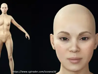 Realistic Asian Woman Base Model 3D model