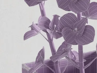 pink glass vase - white orchid 3D model