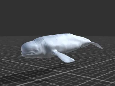Whales Pack Low-poly 3D model