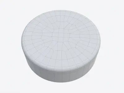 Ice Hockey Puck 3D model