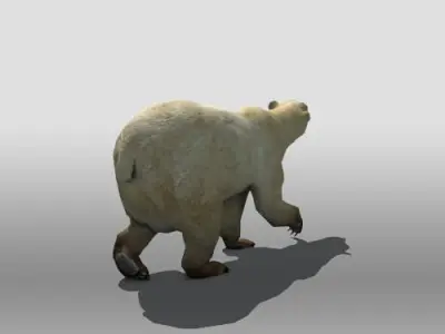 Polar Bear Low-poly 3D model