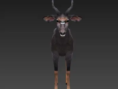 antelope Low-poly 3D model