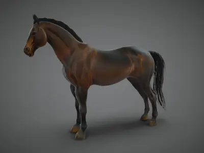Realistic Muscular Horse Low-poly 3D model