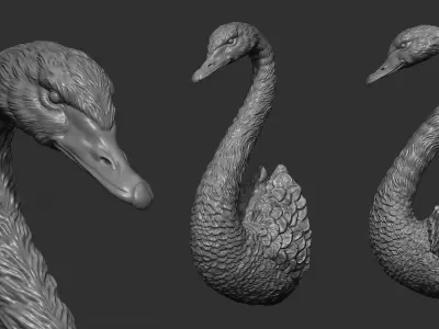 Black swan 3D print model