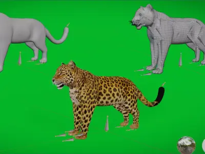 Amur Leopard Male Low-poly 3D model