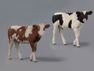 Realistic Cow Calf With Fur Rigged 3D model