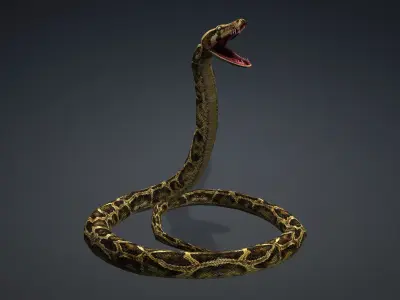Anaconda Animated Low-poly 3D model
