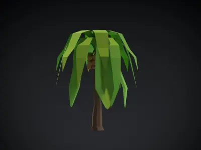 Coconut Tree Low-poly 3D model