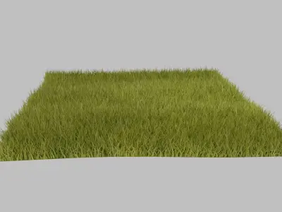 Grass for render Low-poly 3D model