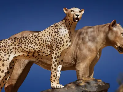 Lion and Cheetah - Digital Model and Textures Low-poly 3D model