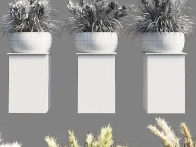 outdoor indoor pot palnt grass the dry pampas stand vase wooden 3D model