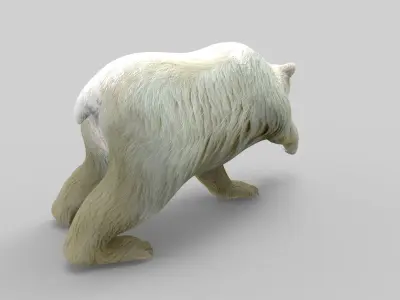 3D Model White Bear Rigged and animated Low-poly 3D model