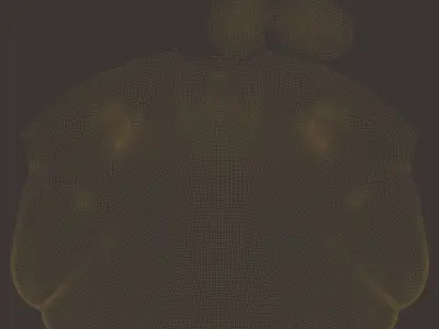 Cat Sphynx Head  3D model