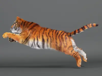 Rigged Tiger Upgraded v2 Low-poly 3D model