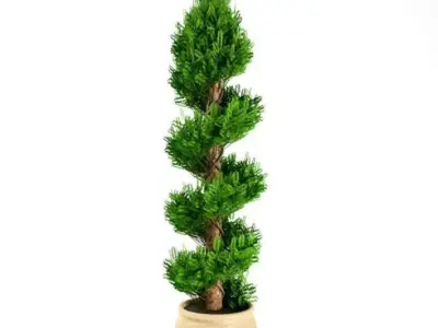 Tall Plant With Vase 3D model