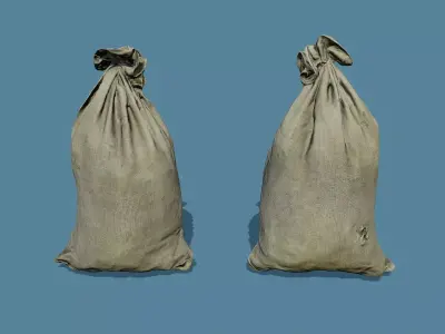 3D Scan Old Bag 02 Free low-poly 3D model