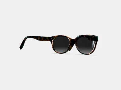 Annika Sunglasses in Aventurine Tortoise 3D model