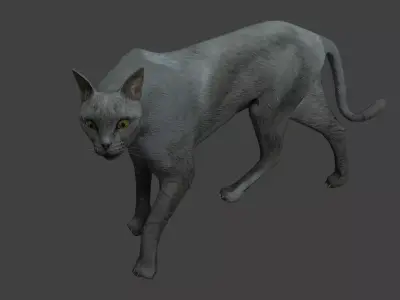 Gray cat Low-poly 3D model
