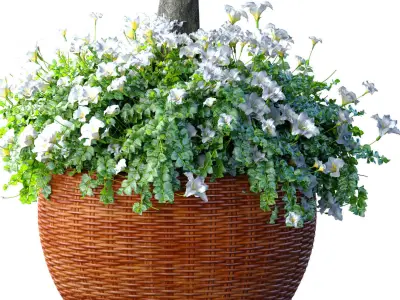 Decorative tree with a flowerbed in rattan garden pot flowerpot 3D model