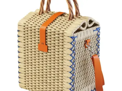Basket Bag 3D model